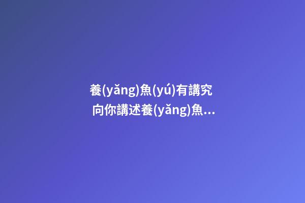 養(yǎng)魚(yú)有講究 向你講述養(yǎng)魚(yú)風(fēng)水你所不知道的那些事